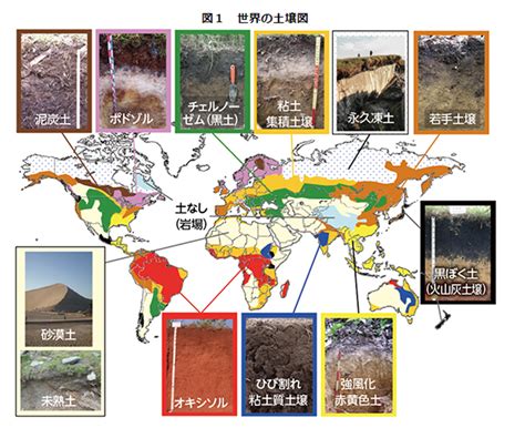 土 構成|土壌